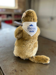 Pikes Peak - 102nd Yellow Bellied Marmot Plushie