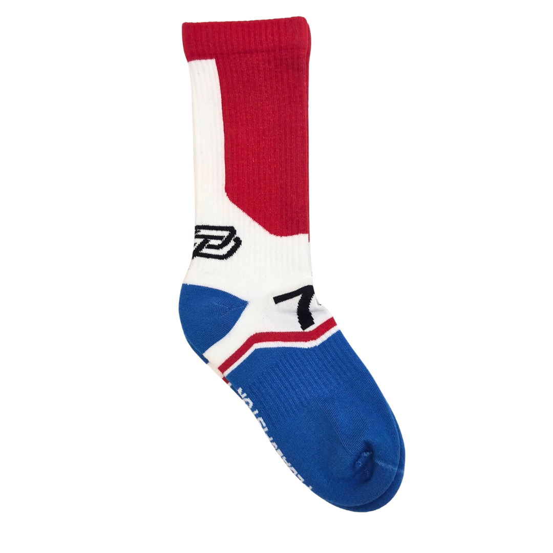 300ZX GTS - Sock