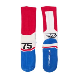 300ZX GTS - Sock